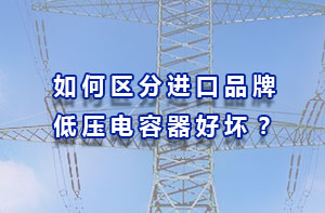 从技术、安全系数、符合中国电网三方面区分进口品牌低压电容器好坏？