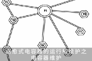 自愈式电容器的运行和维护之电容器维护