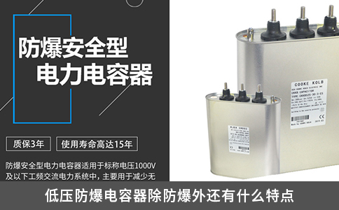低压防爆电容器除防爆外还有什么特点