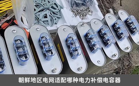 朝鲜地区电网适配哪种电力补偿电容器